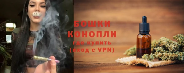 дживик Горнозаводск