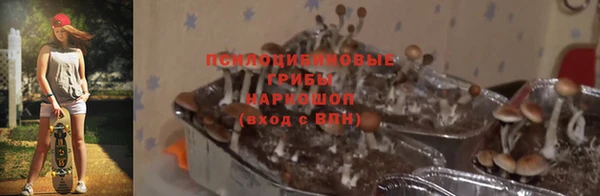не бодяженный Горно-Алтайск