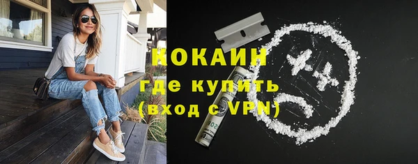 альфа пвп Гусев